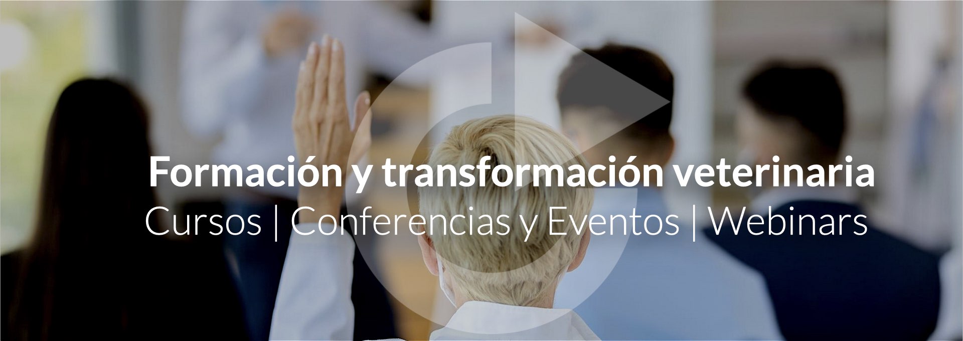 VetReset | Conectar | Formar | Convertir -Cursos de Formación y Transformación Veterinaria
