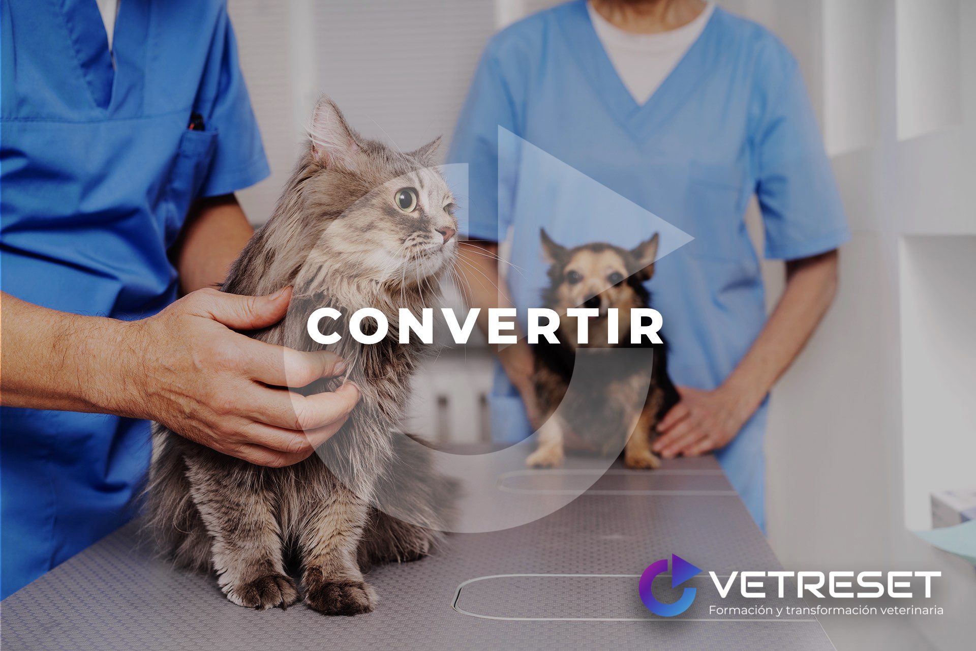 VetReset | Conectar- Formar- Convertir | Formaciones: Cursos | Conferencias y Eventos | Webinars