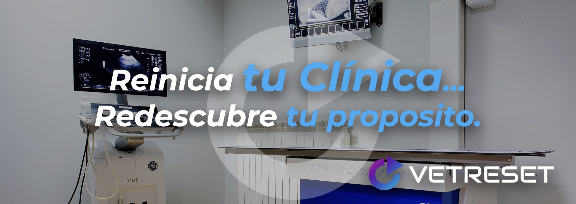 VetReset | Reinicia tu Cínica | Cursos de Formación y Transformación Veterinaria