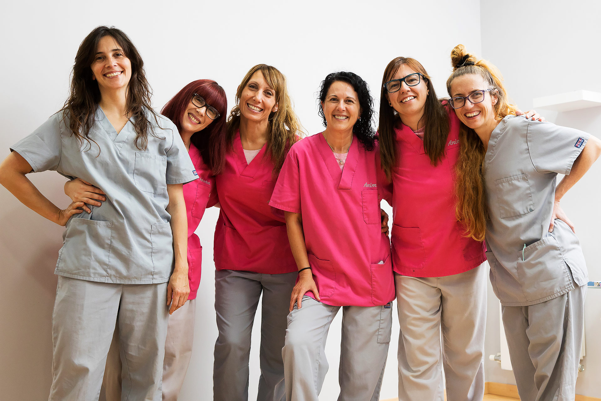 VetReset | Quienes somos? | Cursos de Formación y Transformación Veterinaria